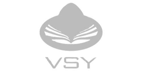 VSY