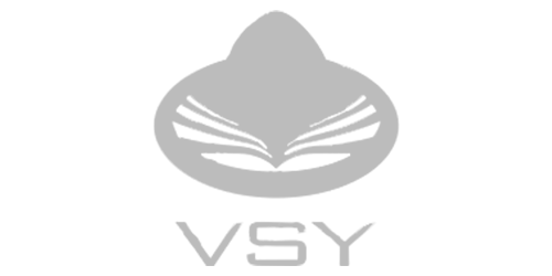 VSY